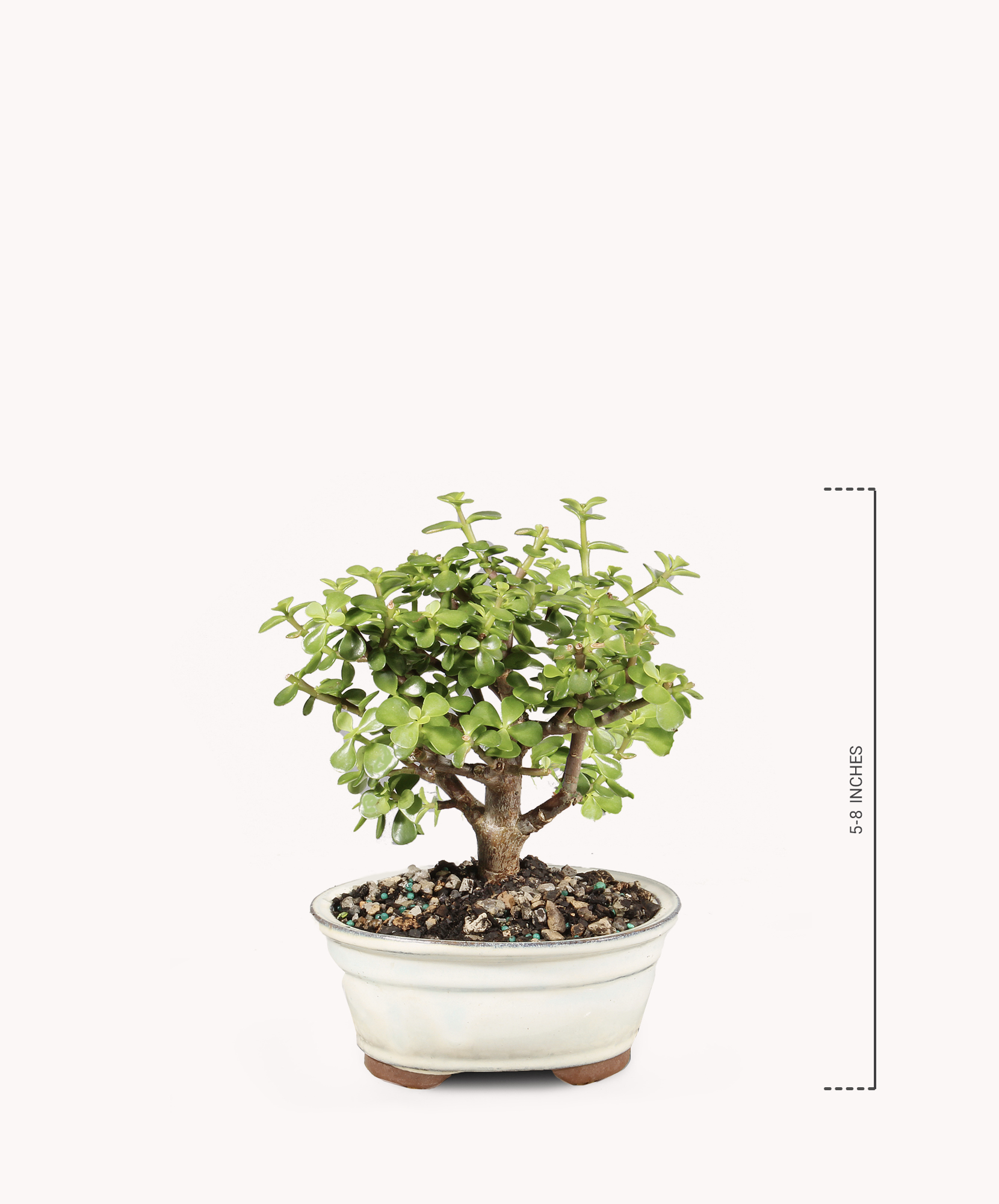 plants indoor outdoor 4' UV Resistant Artificial Real Touch Boston Fern Plant (Indoor/Outdoor)