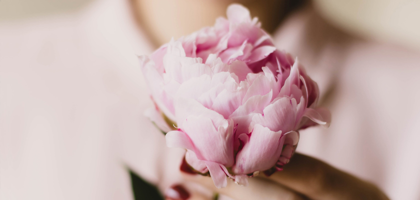 Delicate pink peony held gently, showcasing soft petals and lush greenery. Perfect for any occasion.