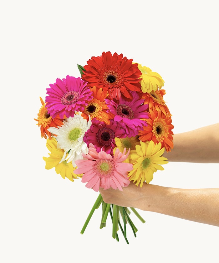 Vibrant bouquet of colorful gerbera daisies in various shades, perfect for brightening any occasion.