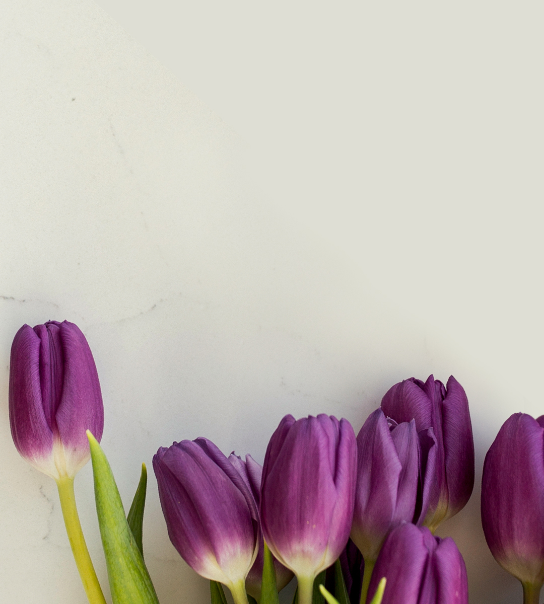 Vibrant purple tulips with lush green leaves, elegantly arranged on a marble surface.