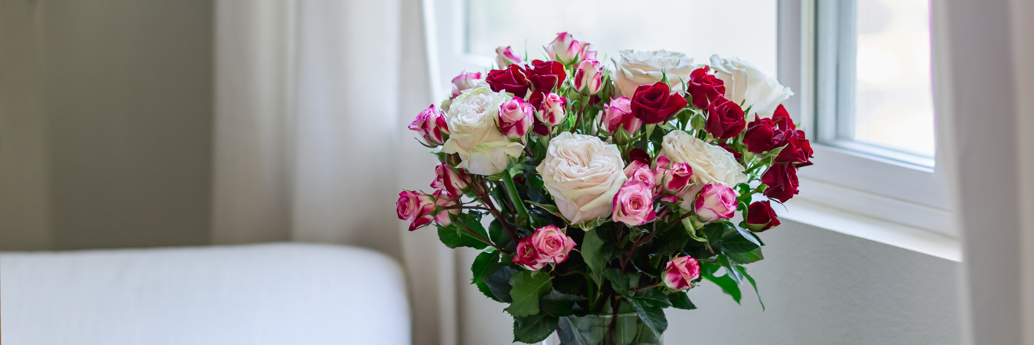 Vibrant mix of red and pink roses in a clear vase near a bright window, perfect for any occasion.