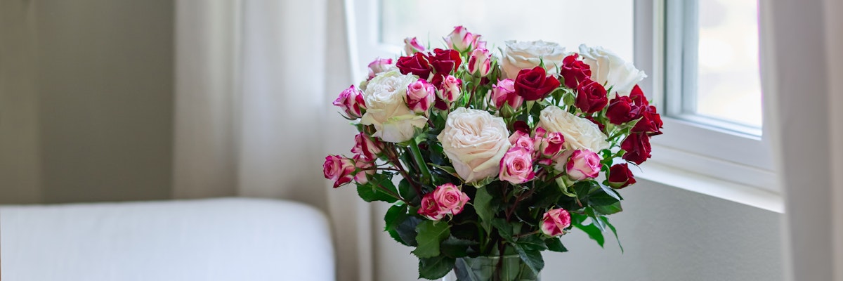 Vibrant mix of red and pink roses in a clear vase near a bright window, perfect for any occasion.