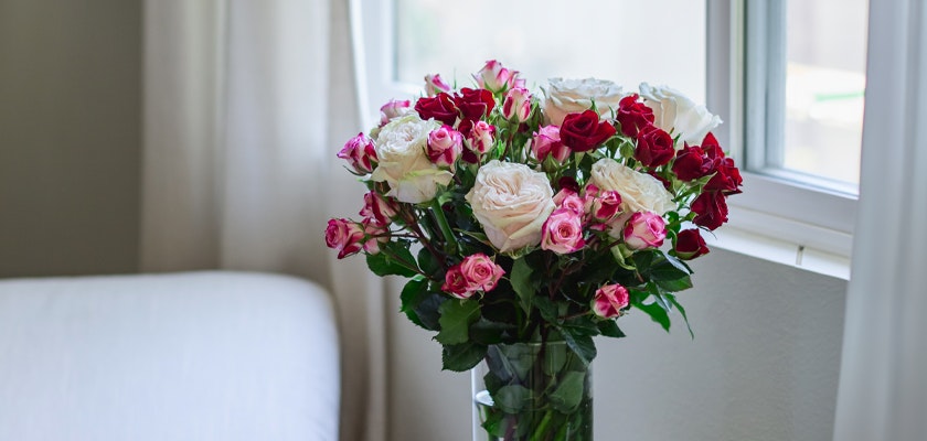 A vibrant bouquet with red, pink, and white roses in a clear vase, brightening any living space.