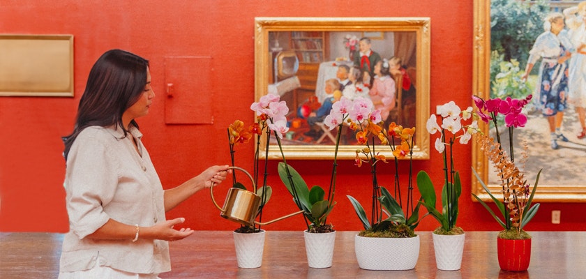 A woman watering vibrant orchid plants in stylish pots, set against an art-filled gallery backdrop.