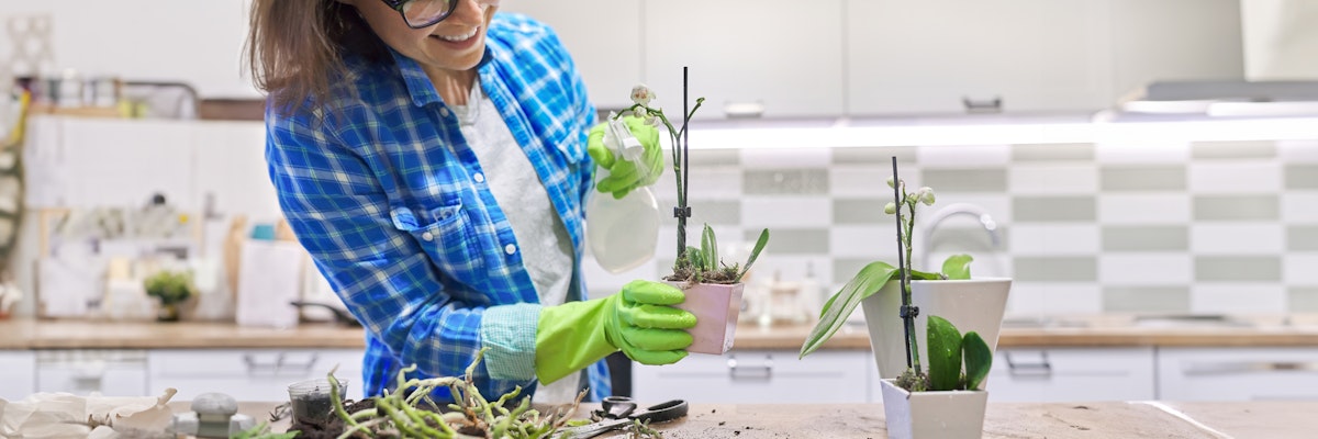 Woman in gloves tending to orchids in a bright kitchen, showcasing her passion for gardening.