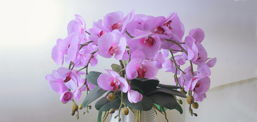 Elegant pink orchids in a lovely arrangement, showcasing vibrant blooms and lush greenery.