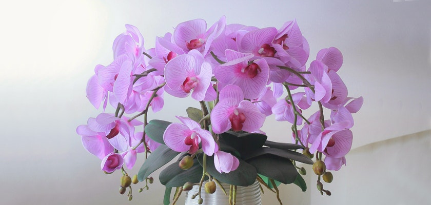 Elegant pink orchids in a lovely arrangement, showcasing vibrant blooms and lush greenery.