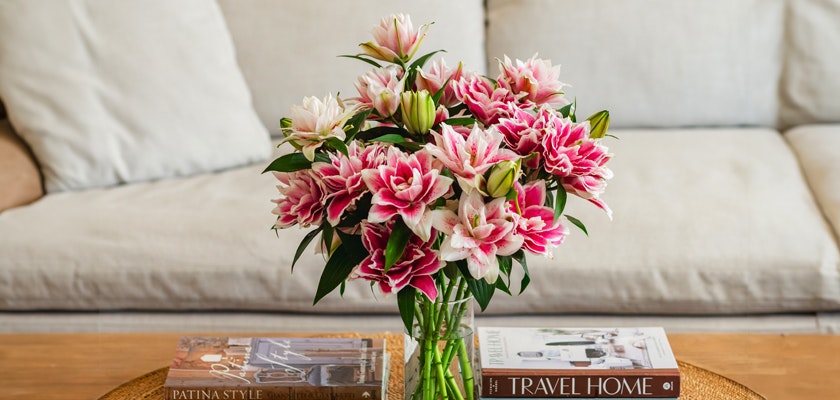 A vibrant bouquet of pink and white lilies beautifully arranged in a glass vase on a coffee table.