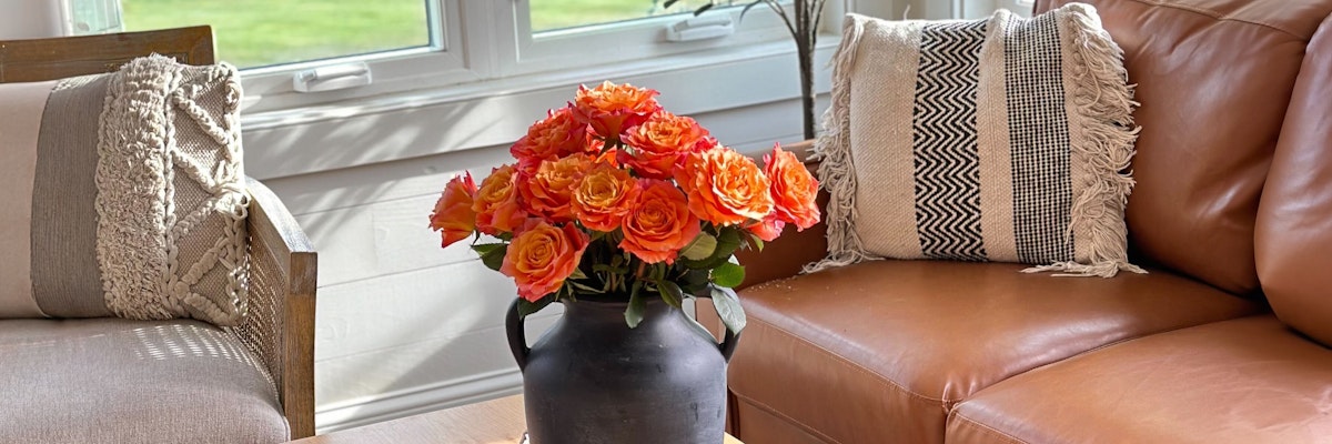 Vibrant orange roses in a black vase, enhancing a cozy living room space with stylish accents.