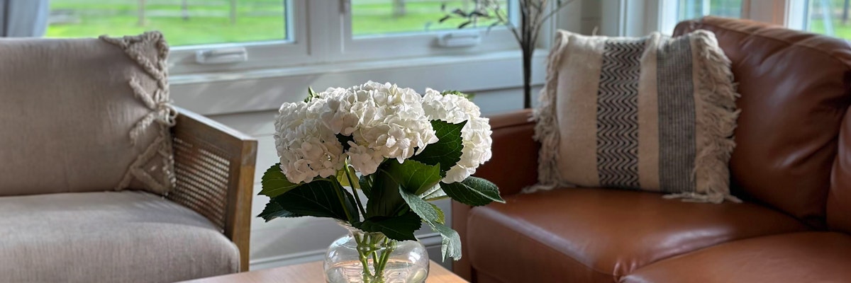 Bright white hydrangeas in a vase on a coffee table, surrounded by cozy armchairs and natural light.