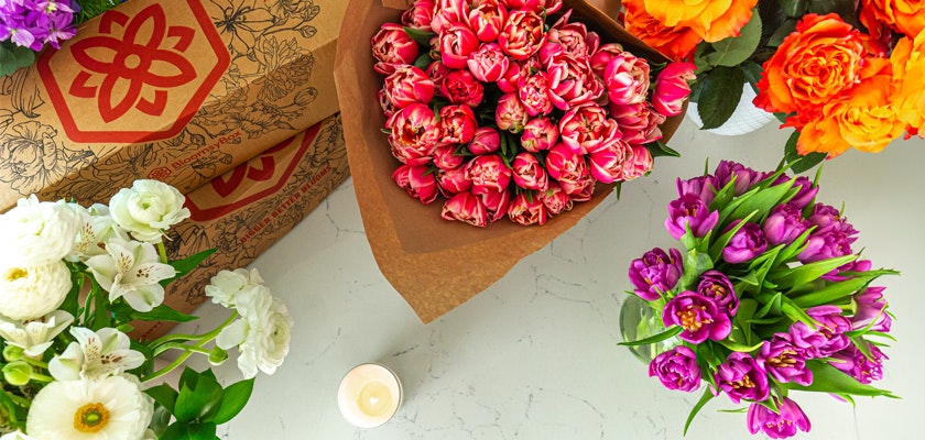 Vibrant floral display featuring pink, orange, and purple blooms, perfect for brightening any space.