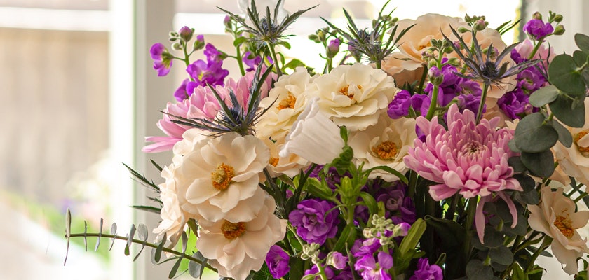 Vibrant floral arrangement featuring creamy peonies, purple daisies, and delicate greenery.