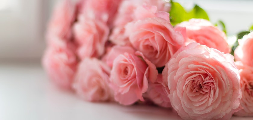 Delicate pink roses arranged elegantly, showcasing soft petals and lush green leaves.