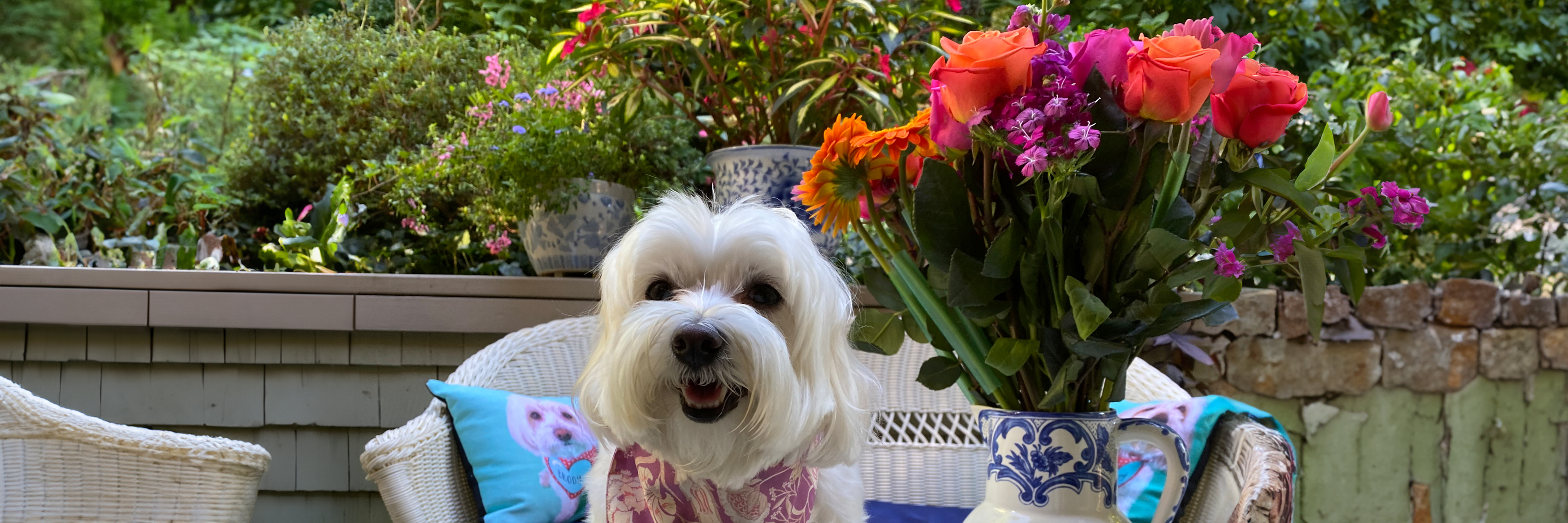 A cheerful white dog seated beside a vibrant floral arrangement in a garden setting.