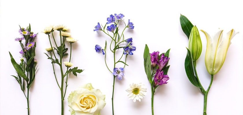 A vibrant arrangement of mixed flowers showcasing white lilies, blue blossoms, and colorful petals.
