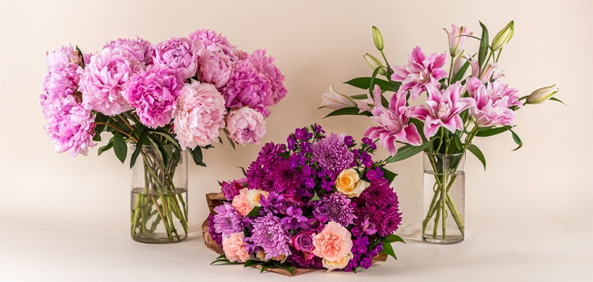 Vibrant floral display featuring pink peonies, purple asters, and lilies in elegant vases.
