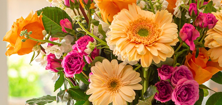Vibrant floral arrangement featuring peach roses, pink roses, and cheerful gerbera daisies.