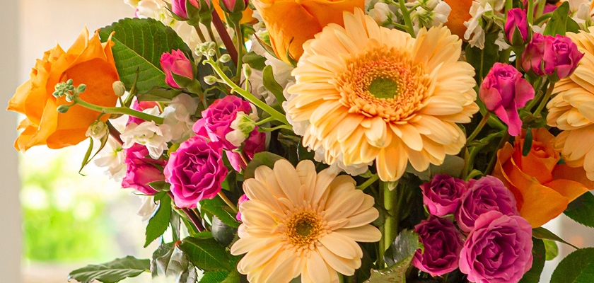 Vibrant floral arrangement featuring peach roses, pink roses, and cheerful gerbera daisies.