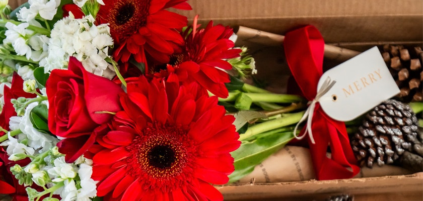 Vibrant red gerbera daisies and roses in a festive box, adorned with a merry tag and pinecones.