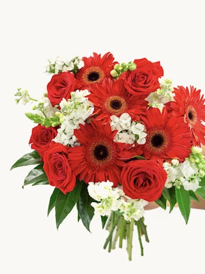 Vibrant bouquet featuring red roses and gerbera daisies, accented with white florals.