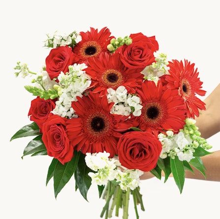 Vibrant bouquet featuring red roses and gerbera daisies, accented with white florals.