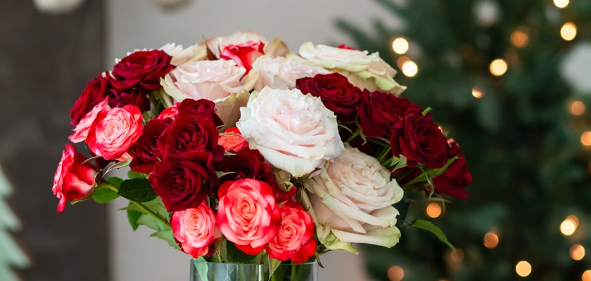 Elegant floral arrangement featuring red and pink roses in a chic vase, perfect for celebrations.