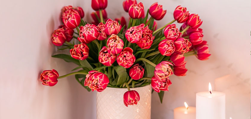 Vibrant bouquet of pink tulips in an elegant vase, surrounded by candles for a cozy ambiance.