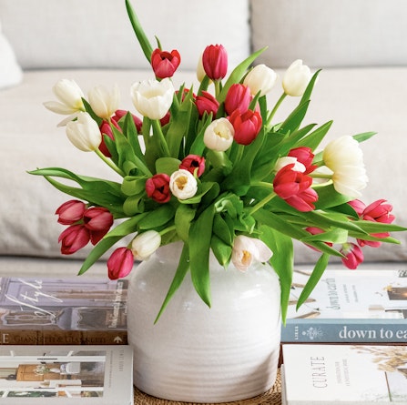 Vibrant bouquet of red and white tulips in a stylish white vase, perfect for brightening any space.