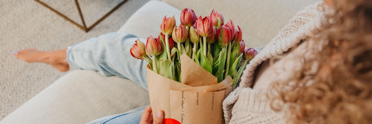 A lovely bouquet of pink tulips wrapped in craft paper, held by a cozy seated individual.