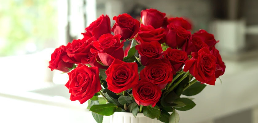 Vibrant bouquet of red roses in a white vase, ideal for romantic occasions and celebrations.