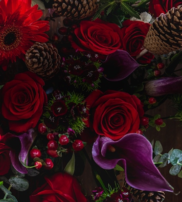 Vibrant floral arrangement featuring red roses, calla lilies, and pinecones for a festive touch.