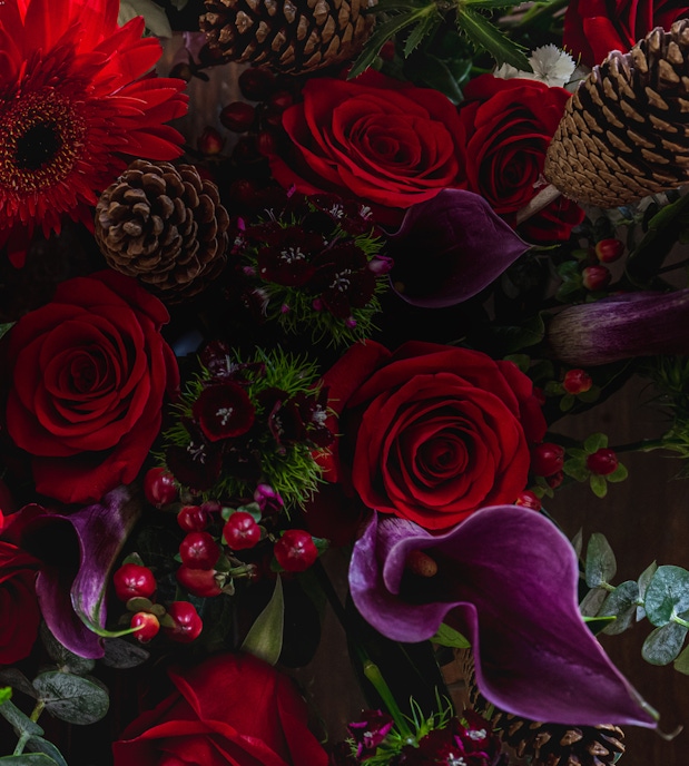 Vibrant floral arrangement featuring red roses, calla lilies, and pinecones for a festive touch.
