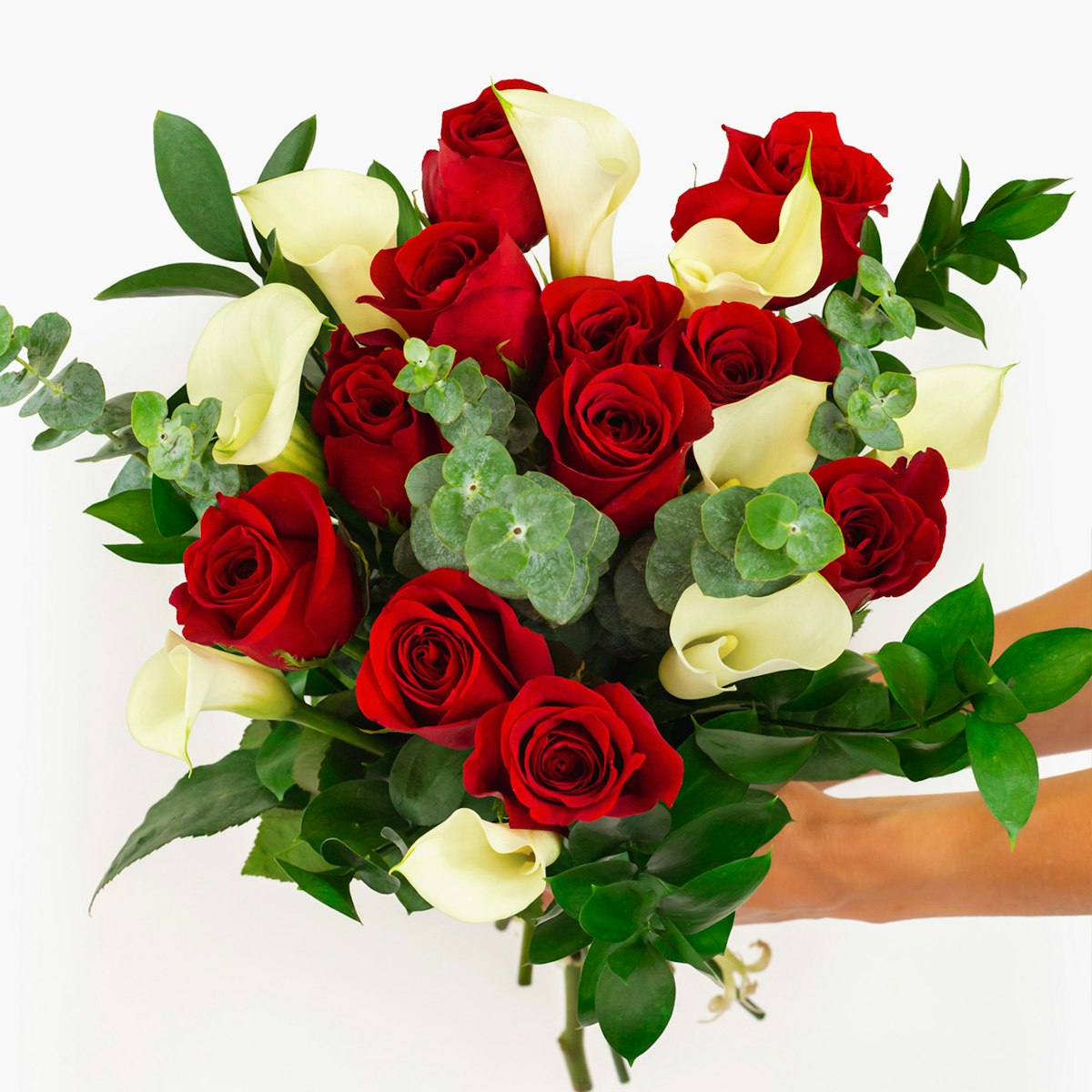 Bloomsy Premium | 6-Month Plan Deal Fresh Seasonal