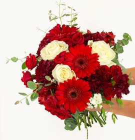Vibrant bouquet featuring red gerberas, roses, and white blooms, ideal for celebrations.