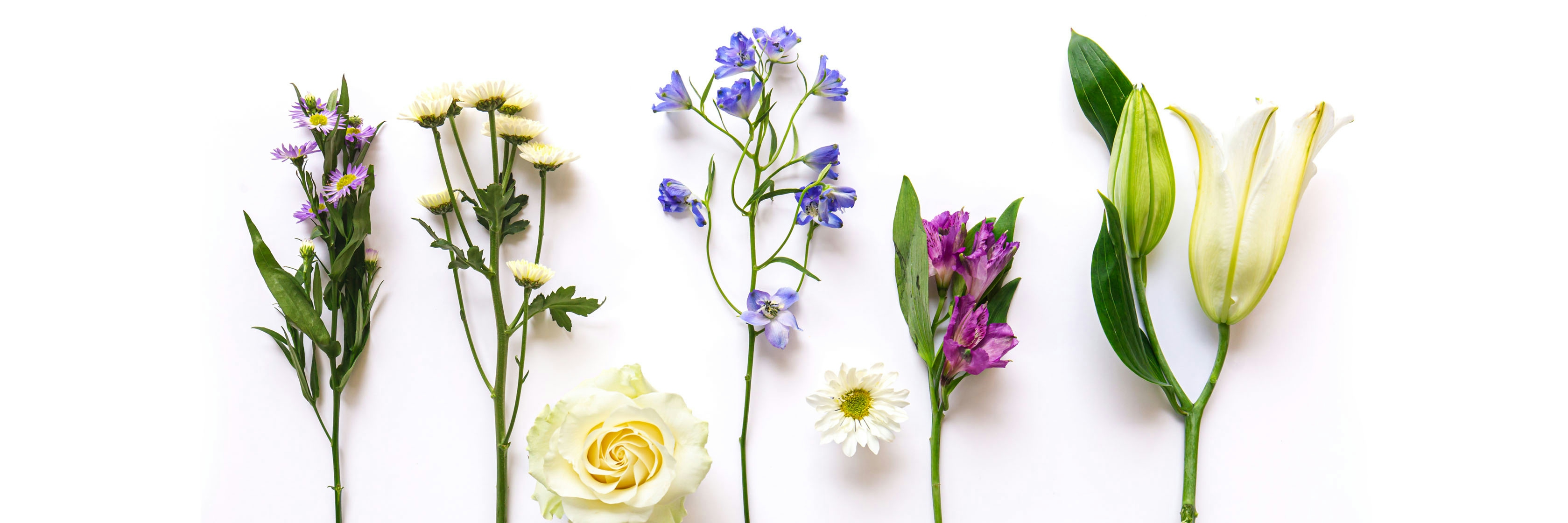 A colorful arrangement of fresh flowers including daisies, roses, and lilies on a white background.