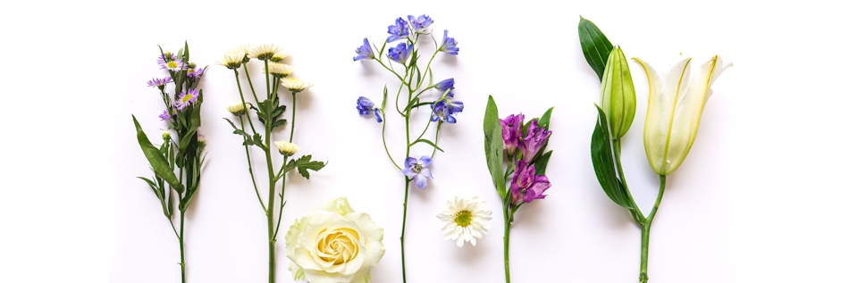 A colorful arrangement of fresh flowers including daisies, roses, and lilies on a white background.