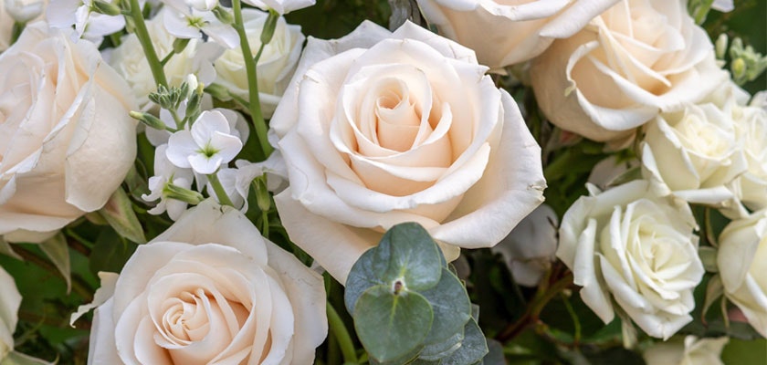 Elegant arrangement of soft white roses, interspersed with delicate green foliage and blooms.