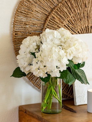 A serene arrangement of white hydrangeas in a glass vase, accented by green leaves.