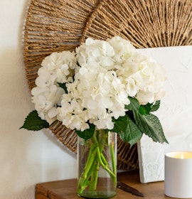 A serene arrangement of white hydrangeas in a glass vase, accented by green leaves.