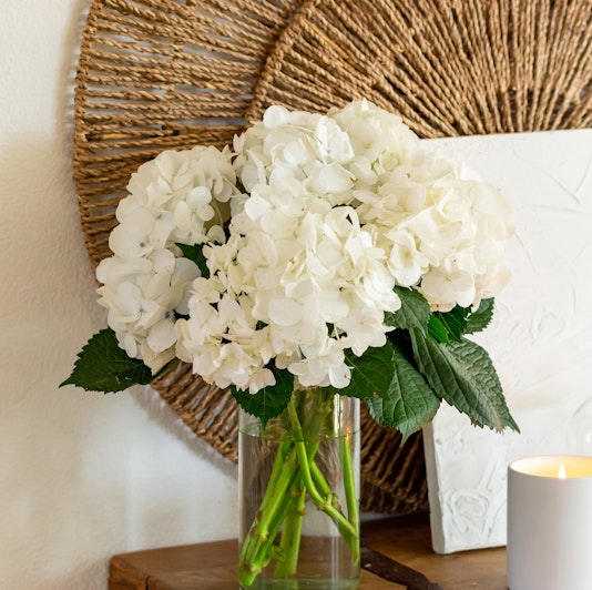 A serene arrangement of white hydrangeas in a glass vase, accented by green leaves.
