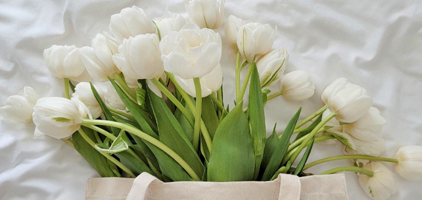 A lovely arrangement of white tulips with green stems in a canvas tote, ideal for spring decor.