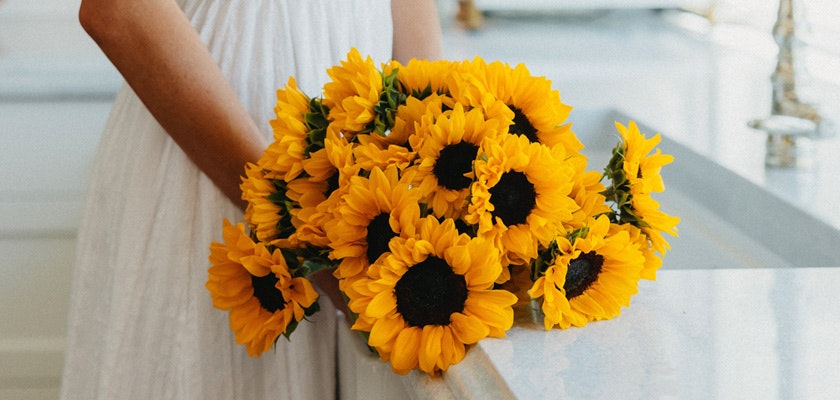 Vibrant bouquet of sunflowers held by a person, radiating warmth and joy.