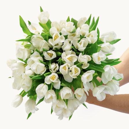 Elegant bouquet of white tulips with lush green leaves, perfect for any occasion.