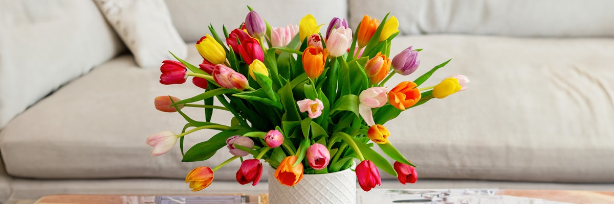 Vibrant mixed bouquet of tulips in various colors, elegantly displayed in a chic vase.