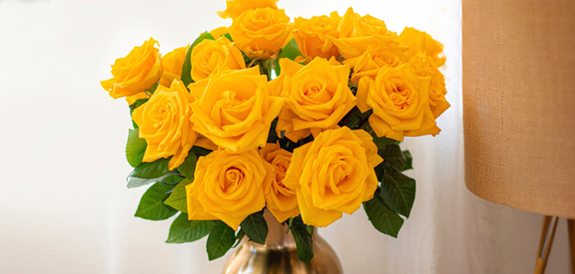 Vibrant bouquet of bright yellow roses nestled in an elegant vase, bringing warmth and cheer.