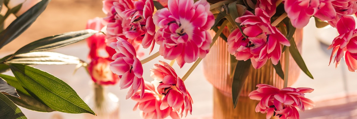 Vibrant pink tulips arranged elegantly in a stylish glass vase, enhancing any floral display.