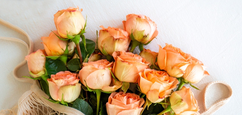 Delicate peach roses with green foliage, elegantly arranged for a charming floral gift.