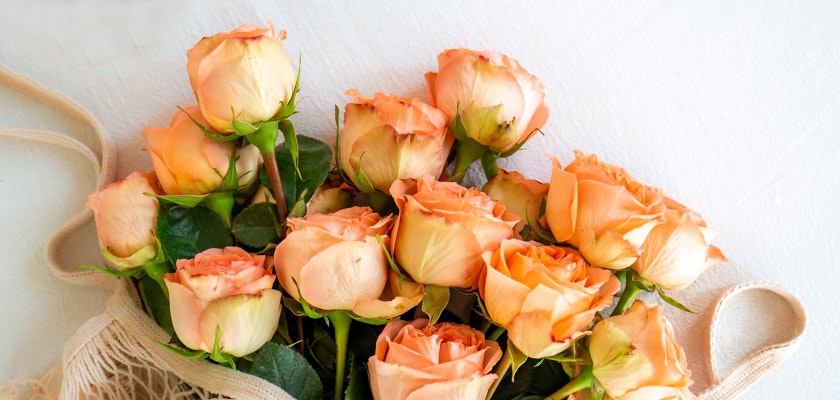 Delicate peach roses with green foliage, elegantly arranged for a charming floral gift.