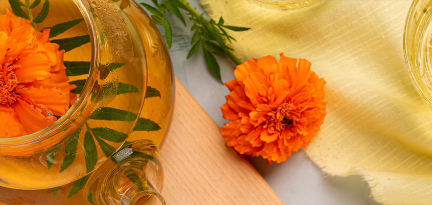 Vibrant marigold flowers infusing herbal tea in a glass pot, surrounded by soft yellow fabric.