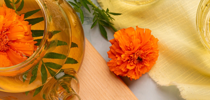 Vibrant marigold flowers infusing herbal tea in a glass pot, surrounded by soft yellow fabric.